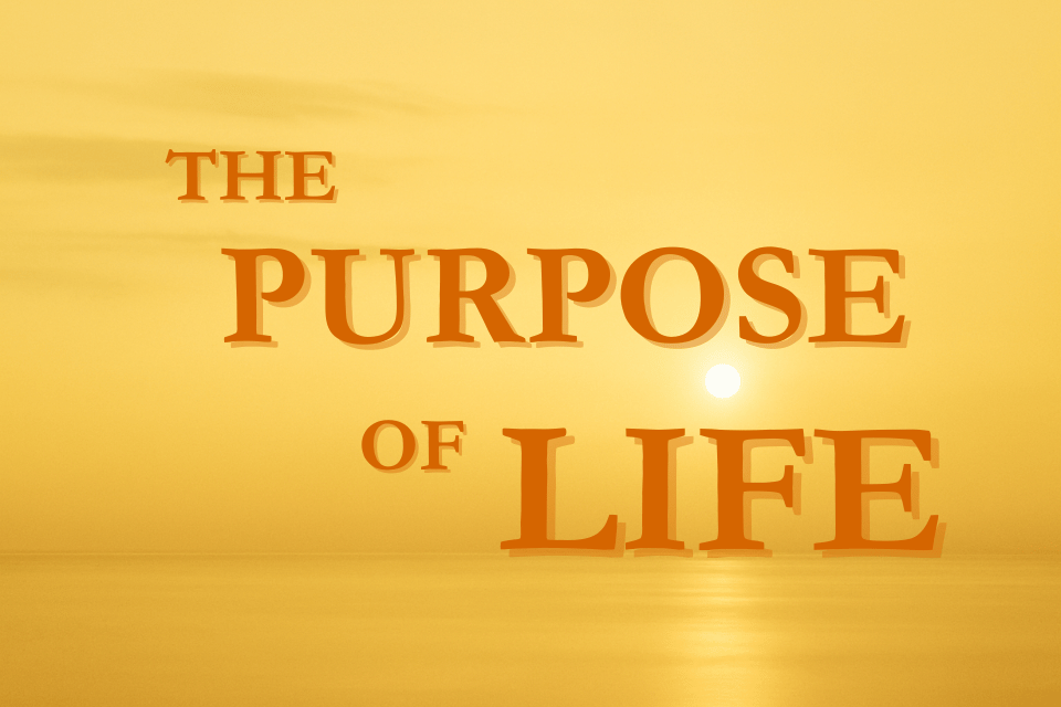 🕵️The Purpose of Life