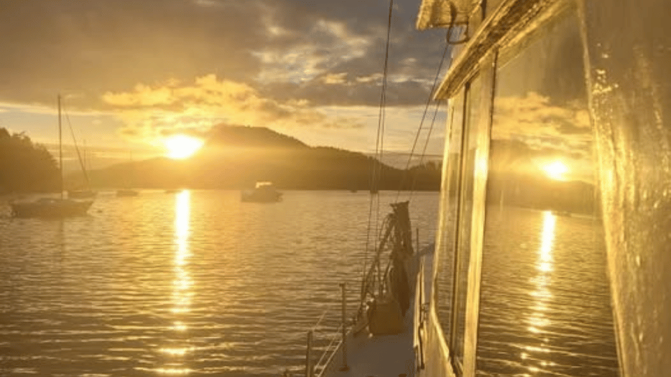 ✨Christmas— A True Reason to Celebrate