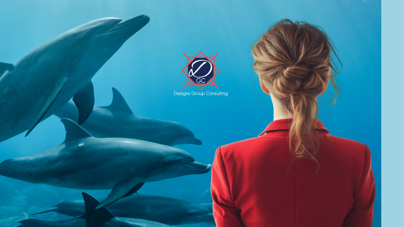 Designs Group Consulting Launches Dedicated Support for Ocean and Marine Mammal Nonprofits