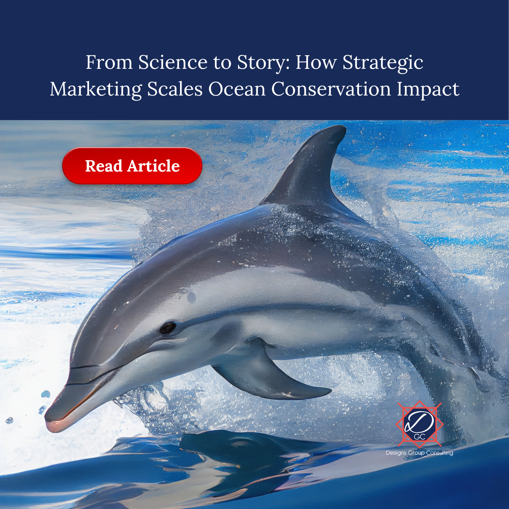 Designs Group Consulting Marketing Agency for Marine Mammal and Ocean Conservation.png