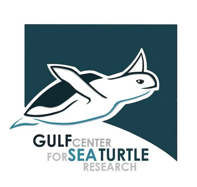 Gulf Center for Turtle Research.jpg