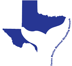 Texas Marine Mammal Stranding Network.png