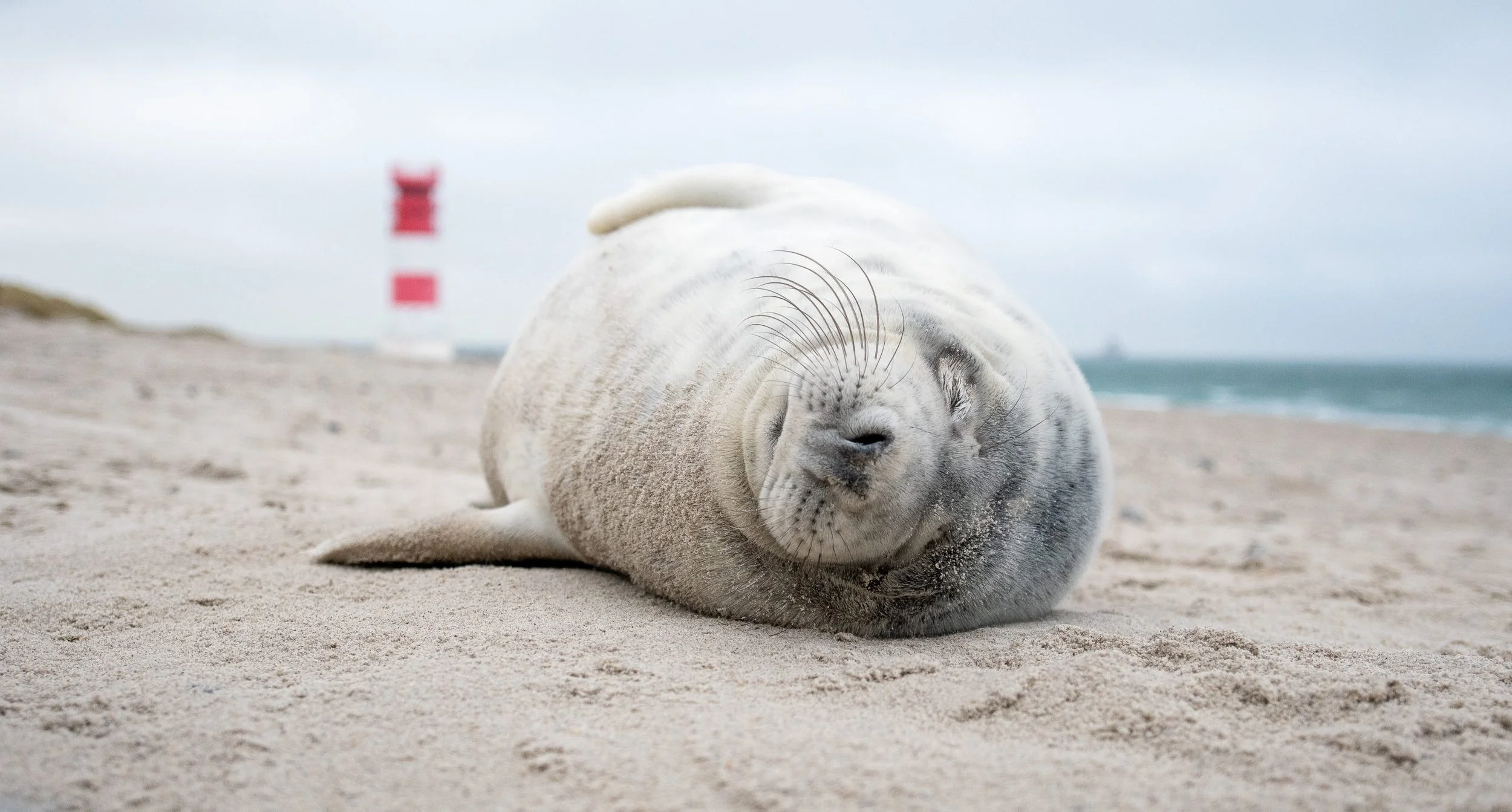 Fotoreise "Winterreise - Helgoland"