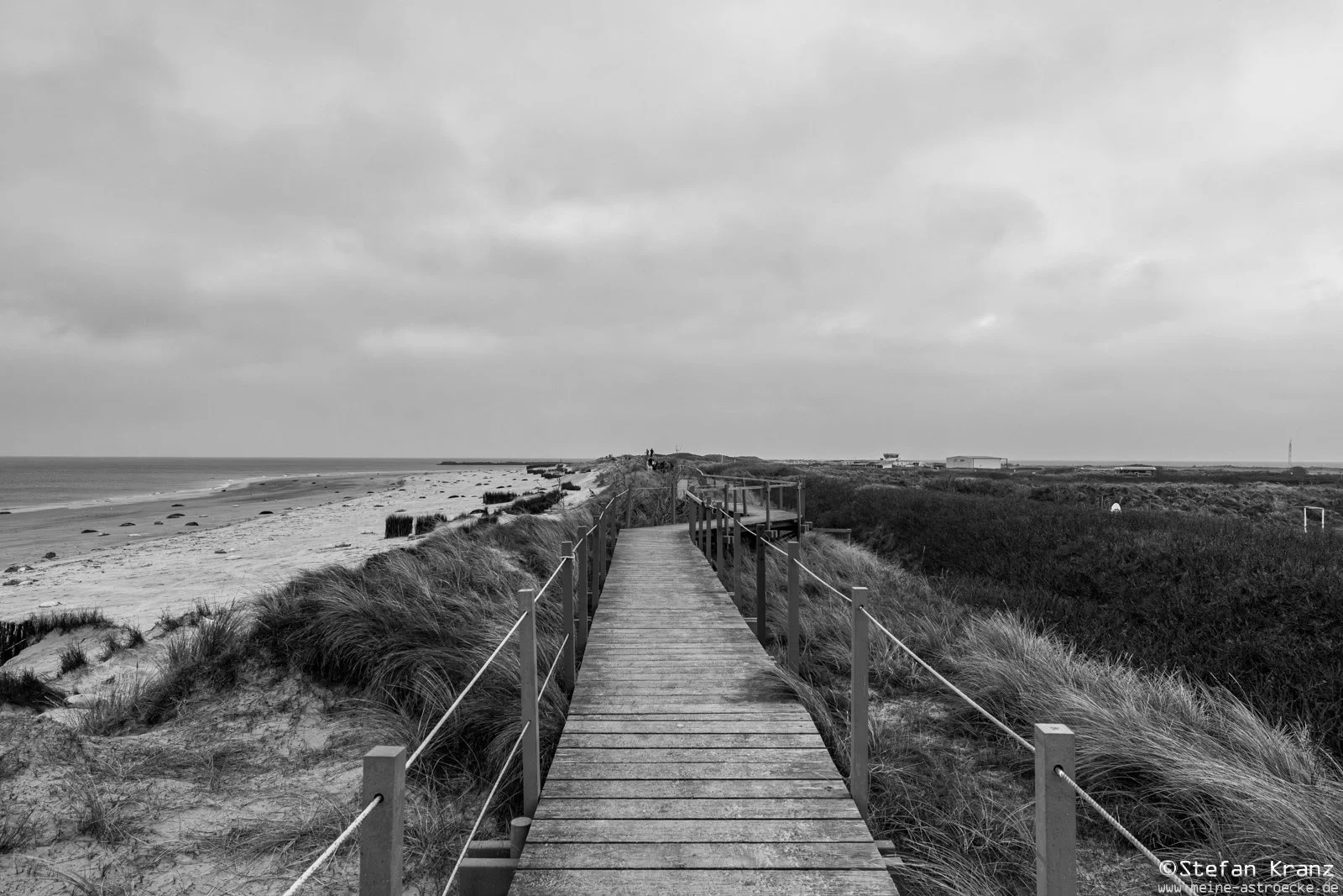 DSC_8946-Verbessert-RR.jpg