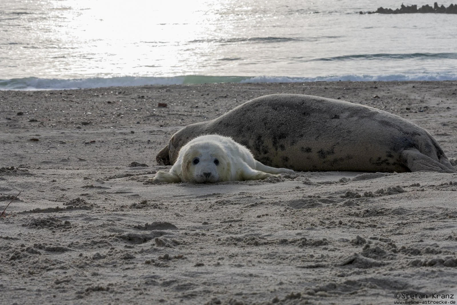 DSC_0672.jpg
