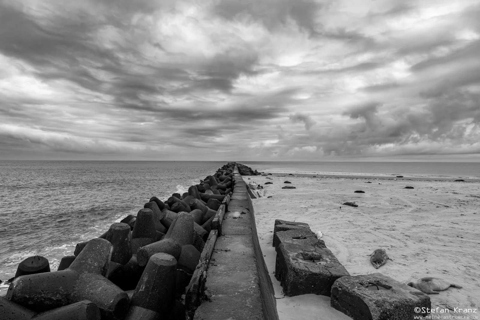 DSC_1888-Verbessert-RR.jpg