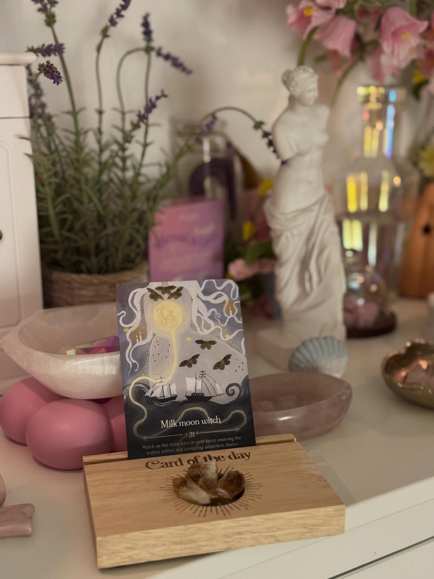 ✨ 11 Februarie 
@spiritelement 🤍🌿