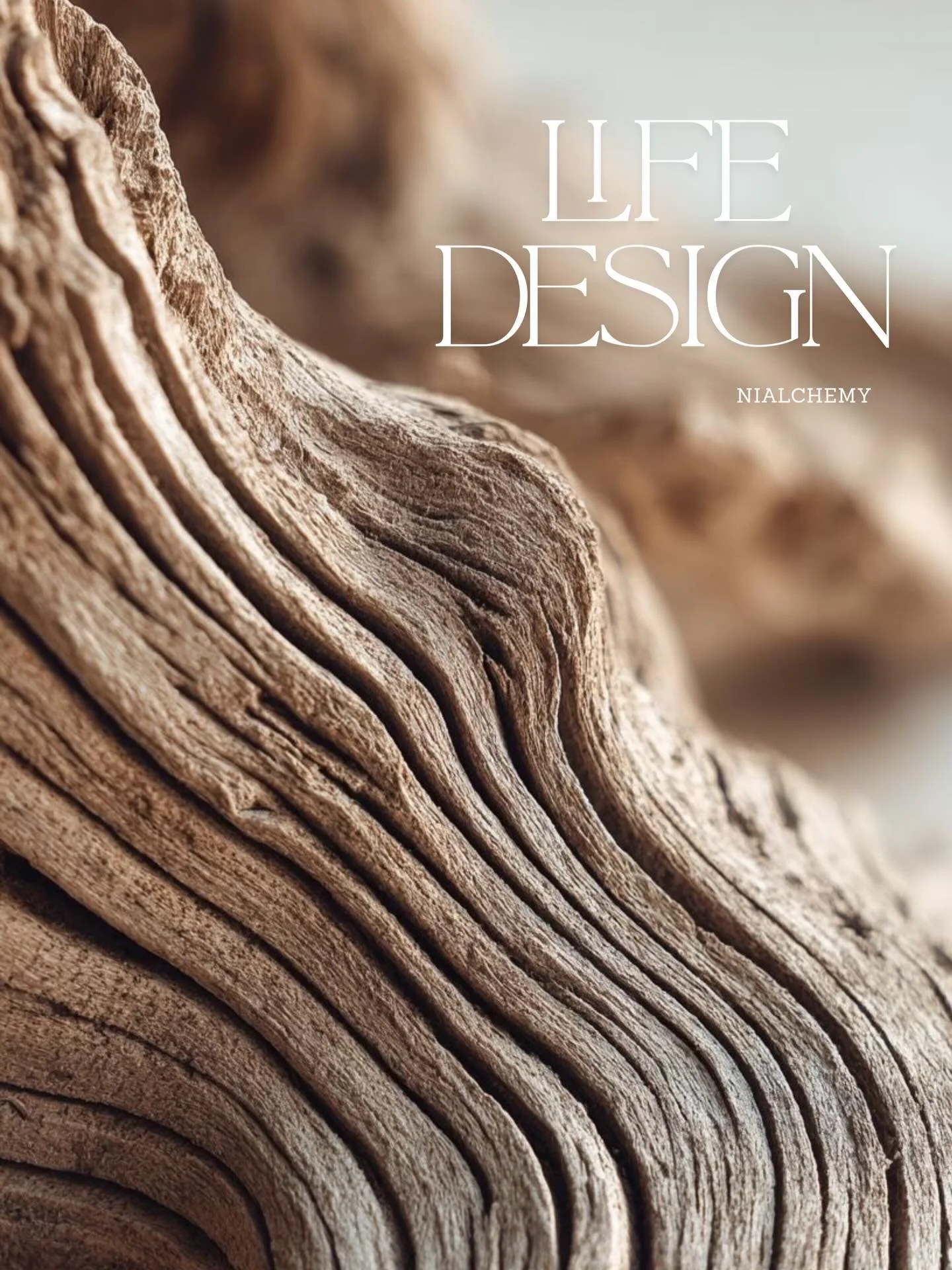 Au trecut deja trei luni de cand am inceput Life Design si e surprinzator sa privesc inapoi si sa vad cat am parcurs impreuna. 

Retrospectiva: 
✨ Am citit impreuna patru carti care ne-au inspirat si ne-au oferit perspective diferite despre viata, al