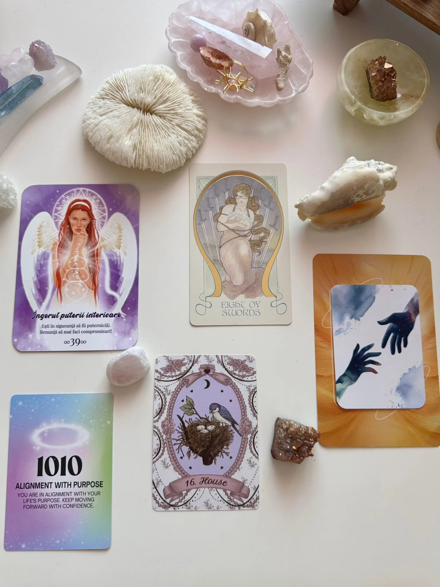 WhatsApp Image 2025-12-06 at 21.34.45.jpeg