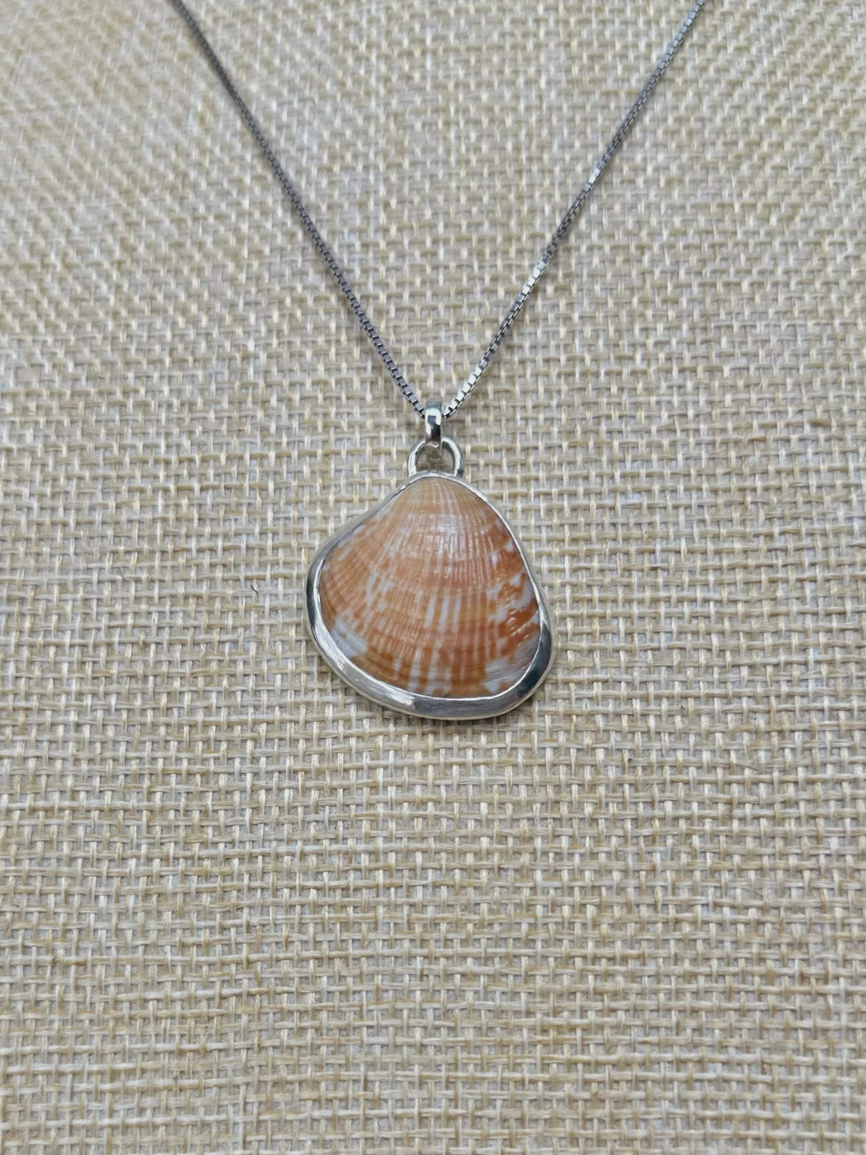 Sea shell necklace - multi 1