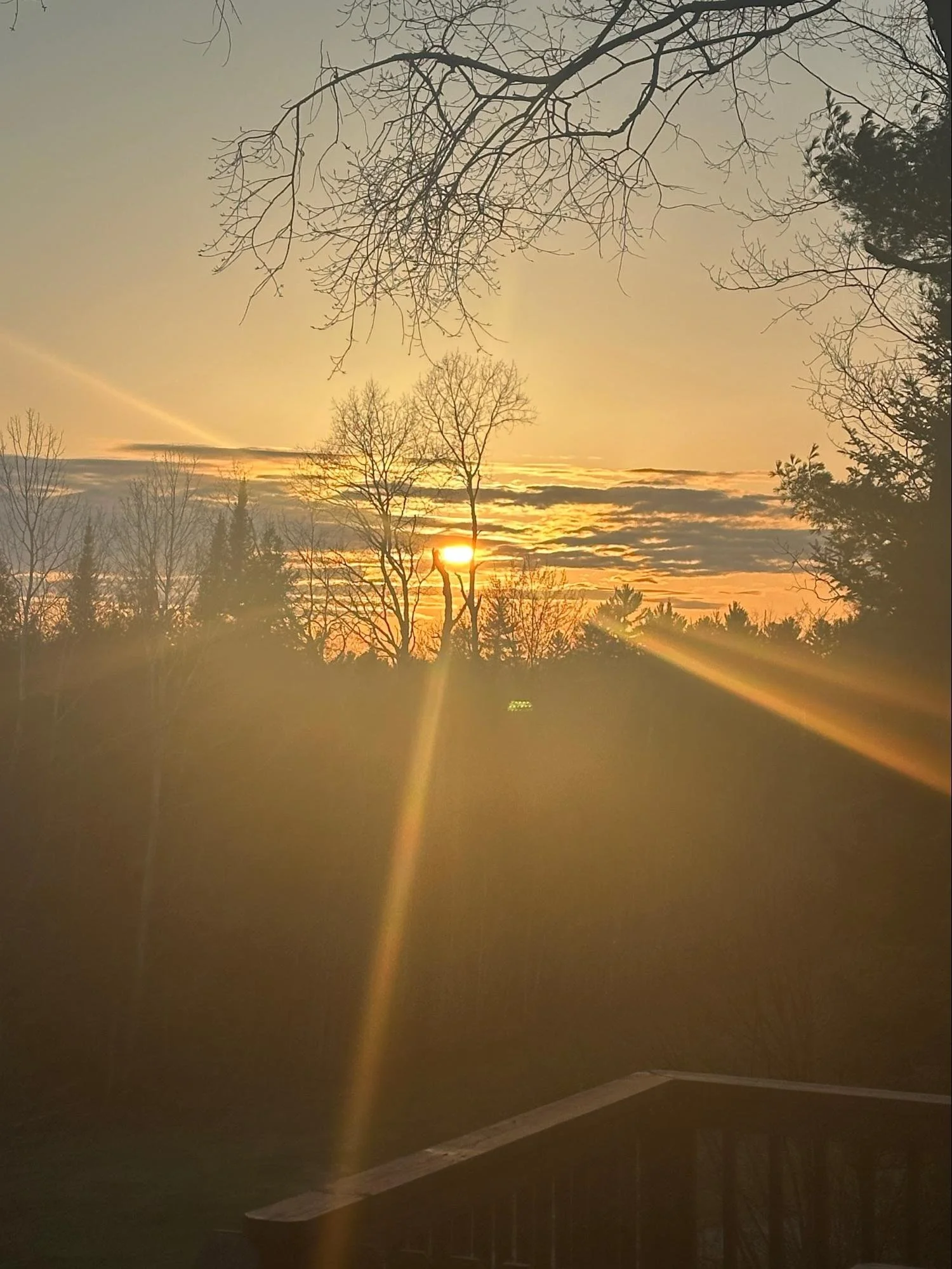 A view of a sunset or sunrise through bare tree branches, with a cloudy sky and some sunlight rays filtering through. The scene is viewed from inside a room.