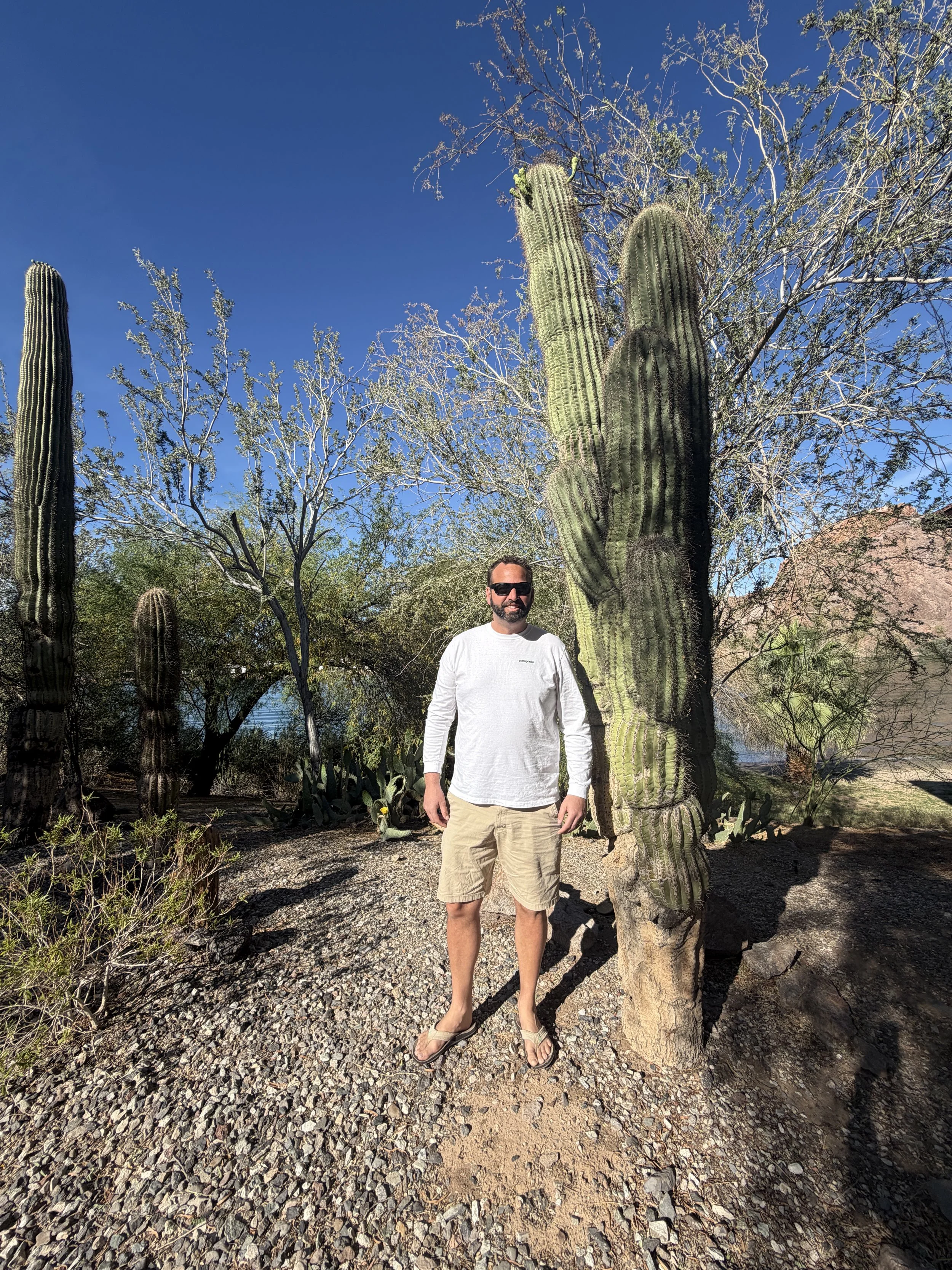 A man wearing sunglasses, a white long-sleeve shirt, and beige shorts standing outdoors on a gravel path in front of large cactus plants under a clear blue sky.
