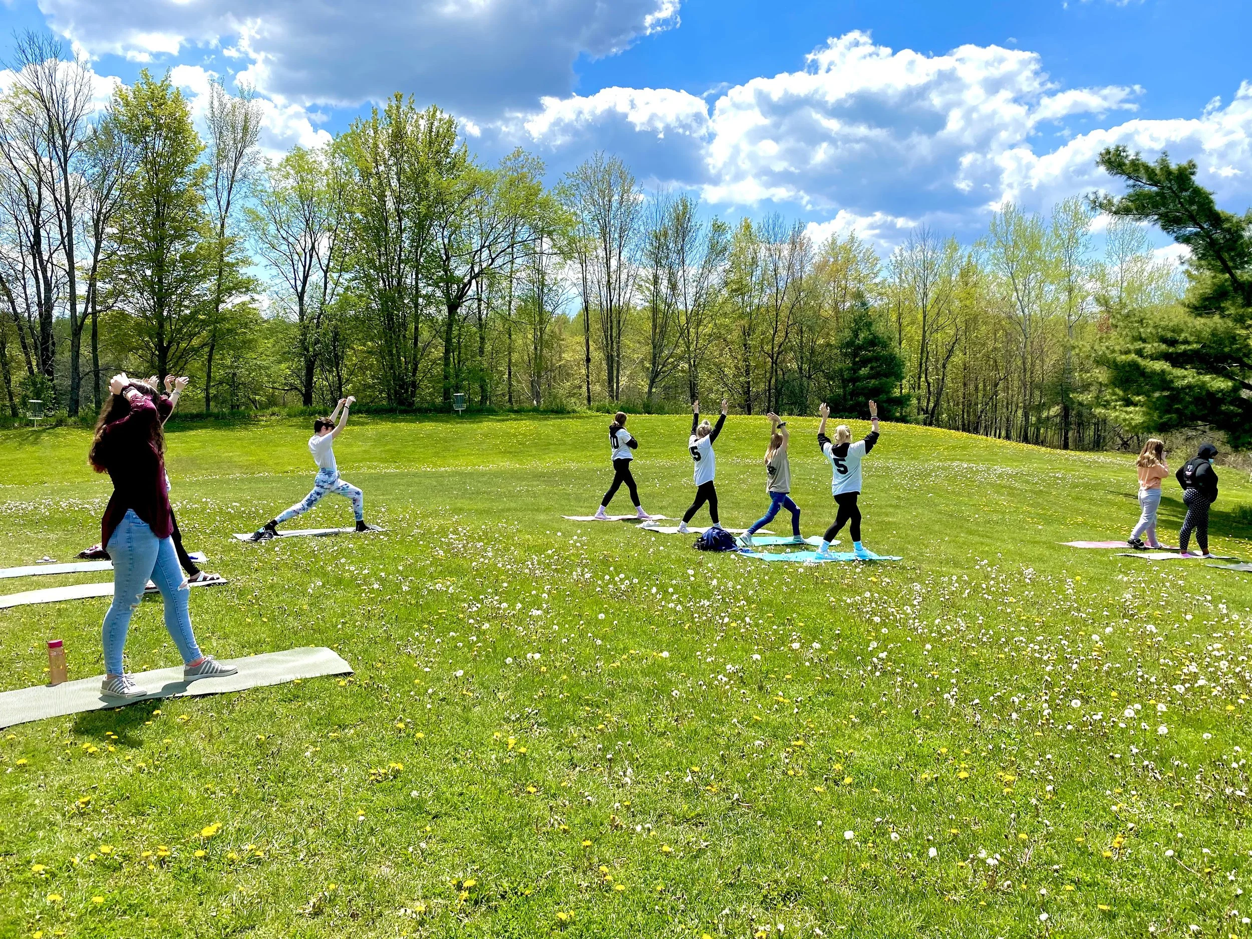 People practicing yoga on a grassy field with trees and a blue sky with clouds in the background.