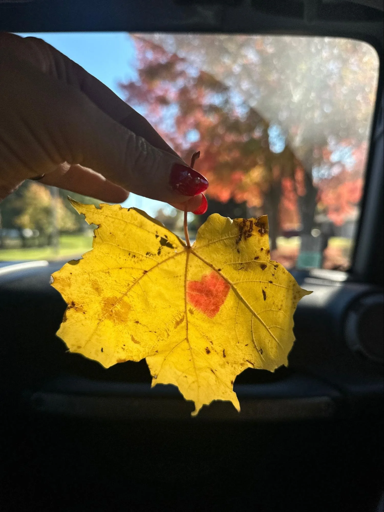 A person's hand with red nail polish is holding a yellow autumn leaf with a red spot near the center. The background shows a blurred view of trees with fall foliage and a blue sky, viewed from inside a vehicle.