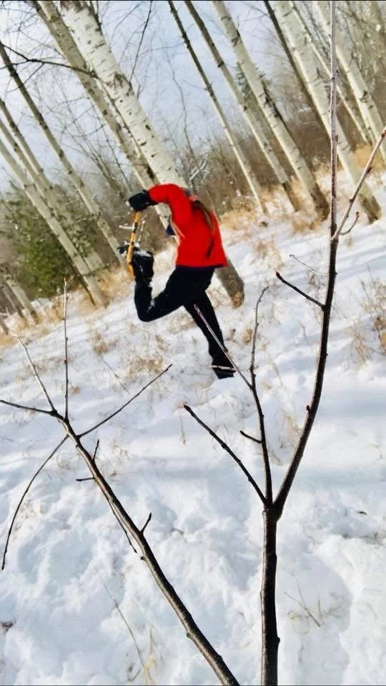 A person wearing a red jacket and black pants is playing in the snow among leafless trees in a winter landscape.