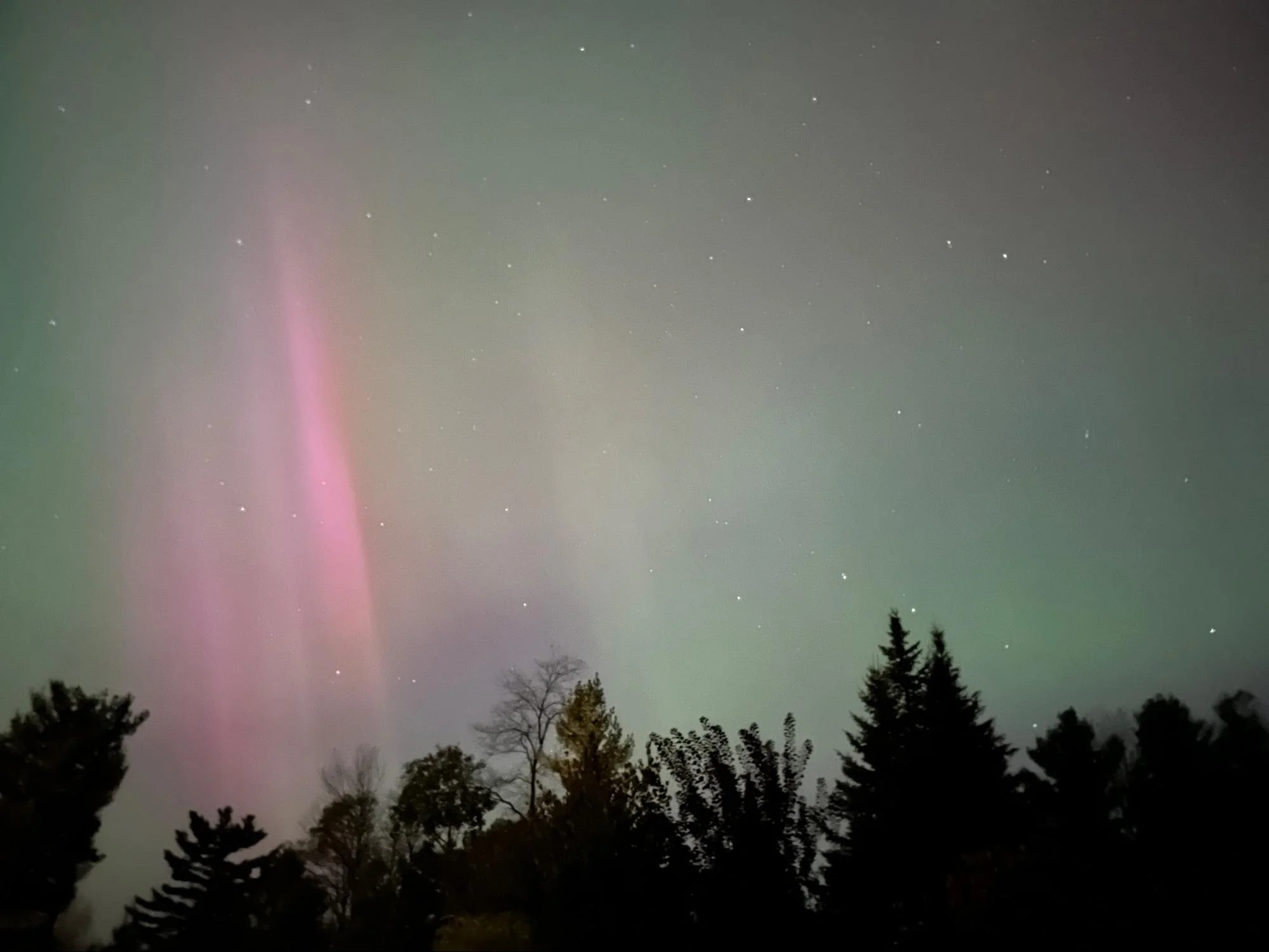 Night sky with stars and streaks of light, possibly from northern lights, above silhouettes of trees.