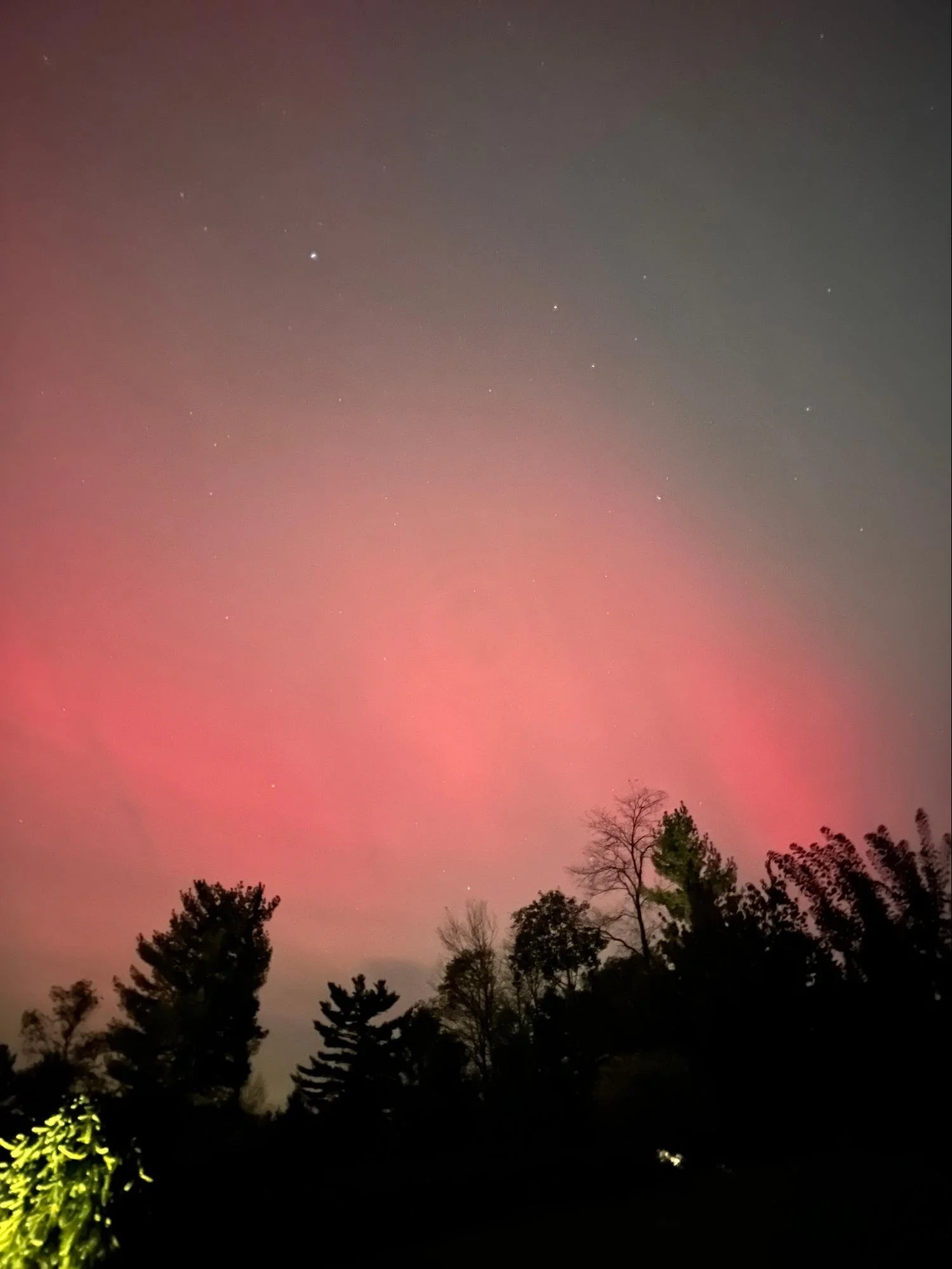 Night sky with pinkish hue, stars visible, silhouettes of trees in the foreground.