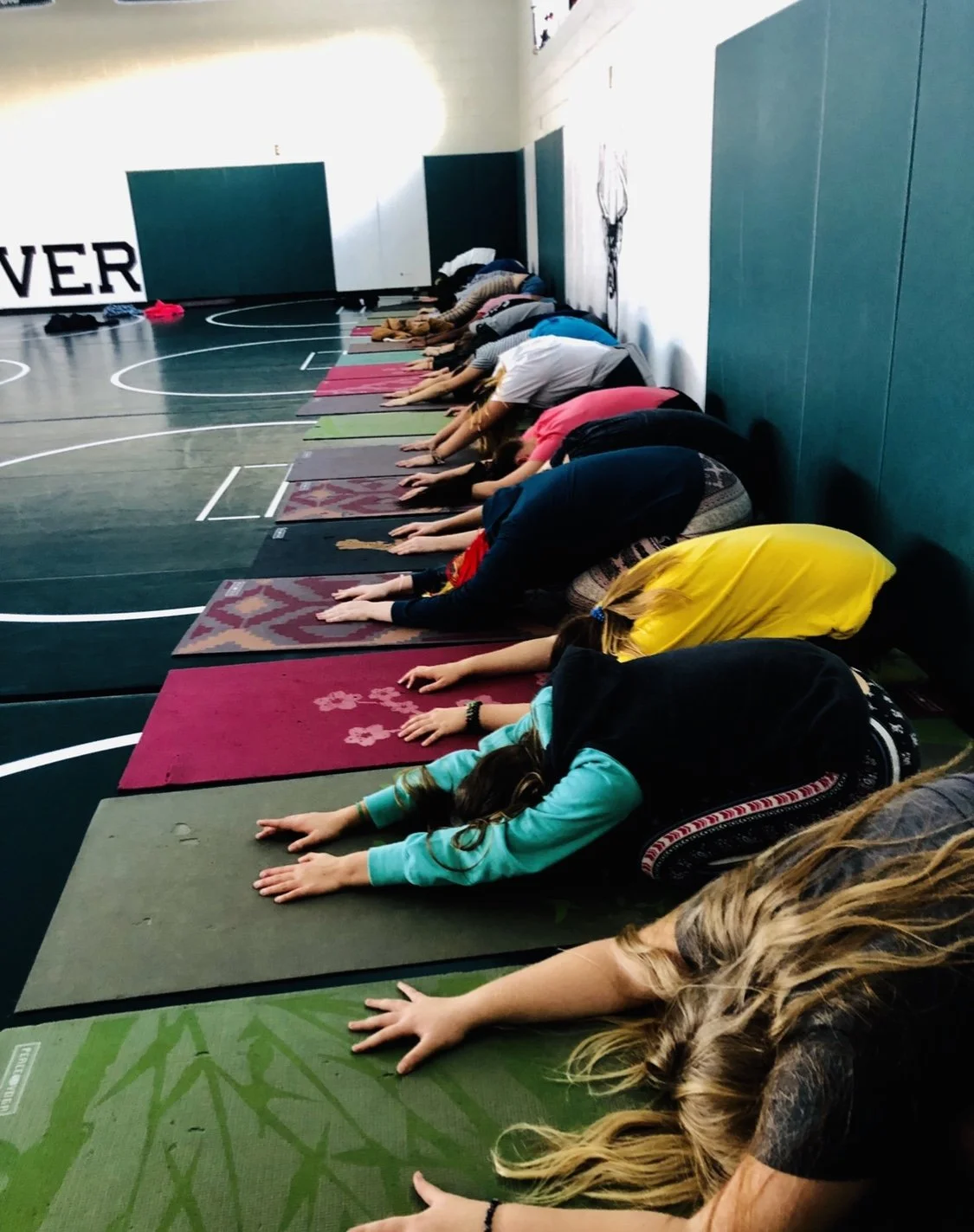 A group of people practicing yoga in a gym, performing child’s pose on colorful mats lined up against the wall.