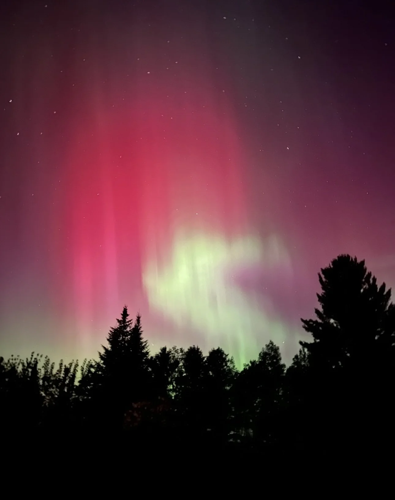 Northern lights or aurora borealis with pink, green, and purple colors in the night sky above trees.