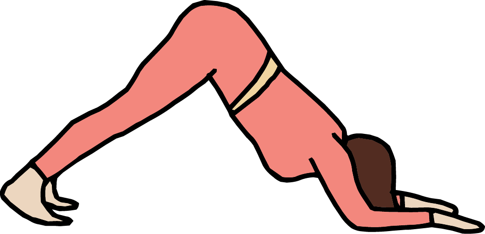 Icon - Dolphin - color.png