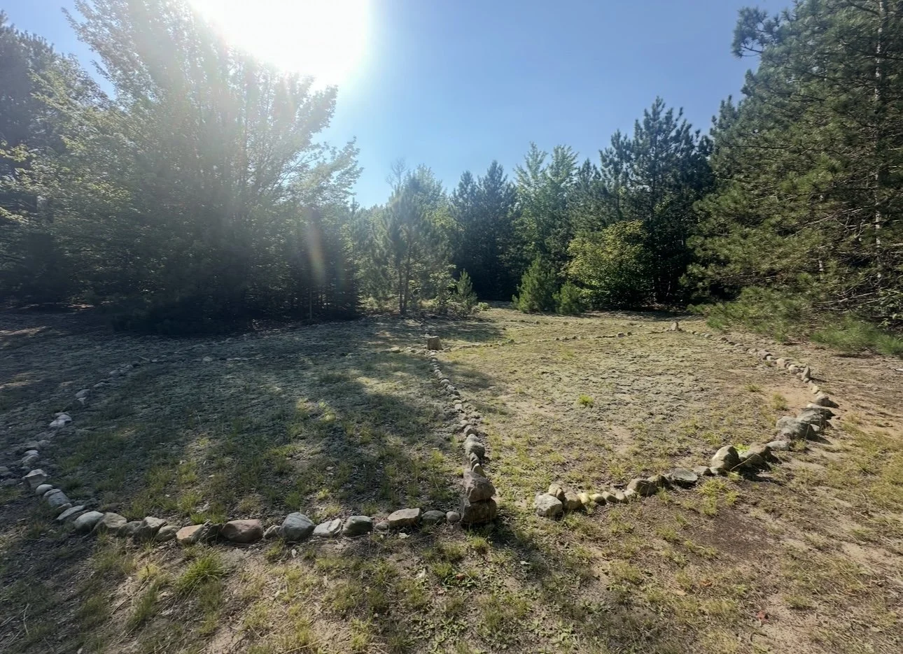 Two rectangular garden beds outlined with rocks in a forested area with tall trees and sunlight overhead.