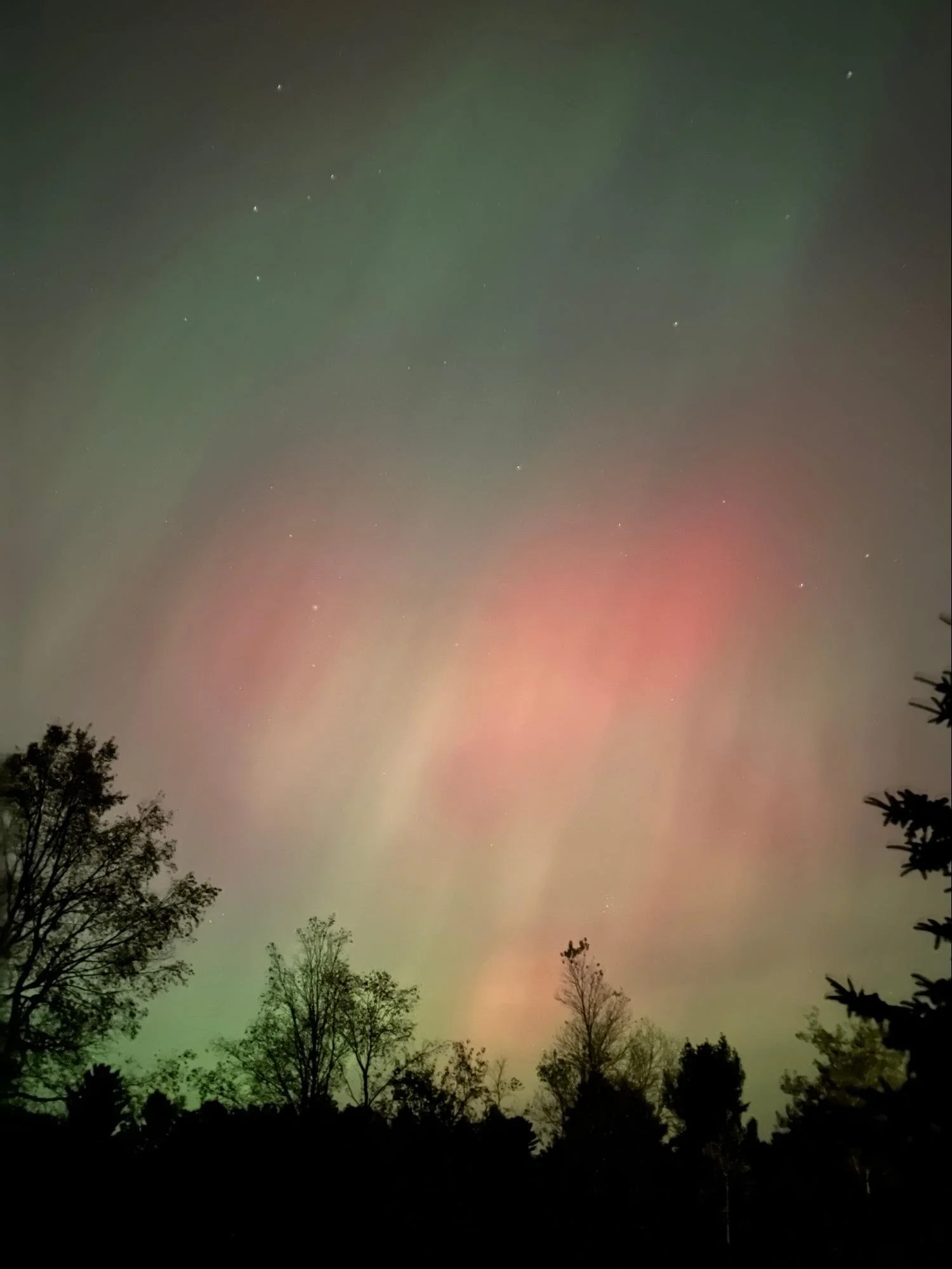 Nighttime sky with the aurora borealis, with trees visible in the lower part of the image.