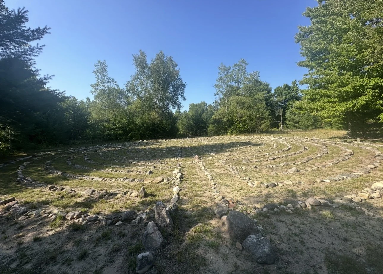 A grassy area with concentric circular stone formations surrounded by trees and blue sky.