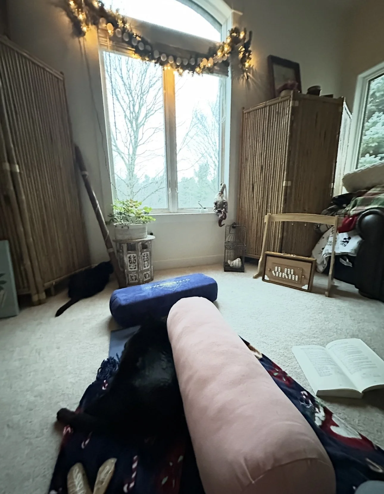 A cozy living room with large windows, decorated for the holidays with garland and lights. There are various pieces of furniture, a black cat, and a person’s legs in the foreground.
