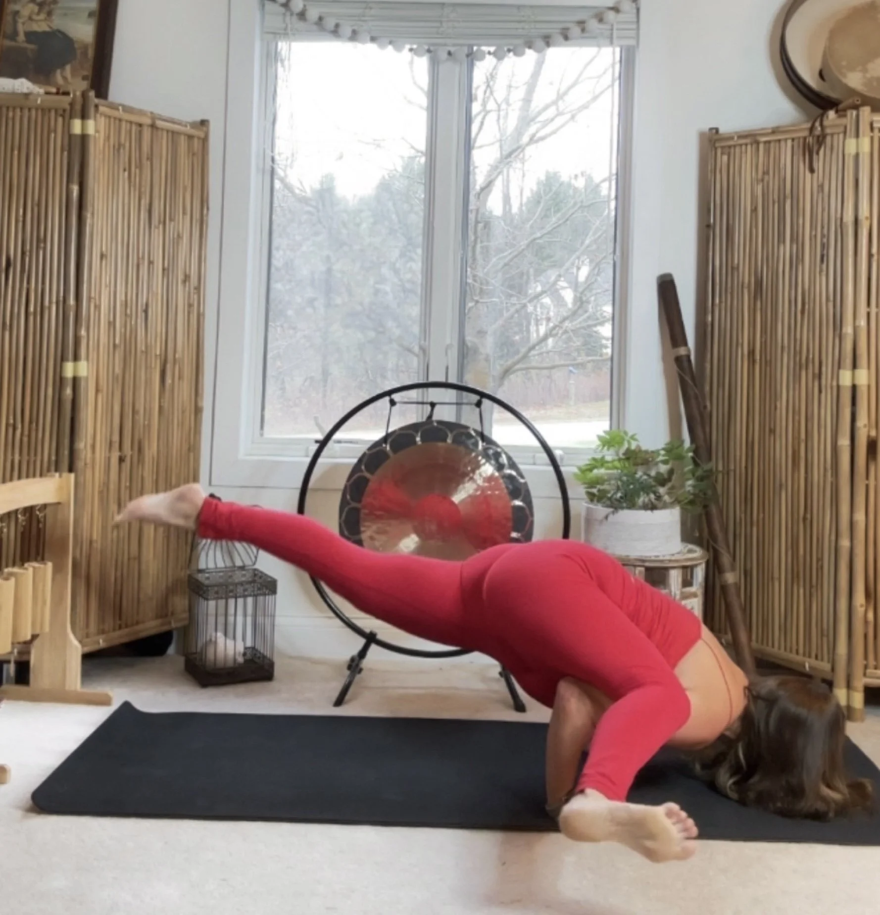 Person practicing yoga in a room with large window, bamboo room dividers, and indoor plants, performing a variation of the downward dog pose with one leg lifted.