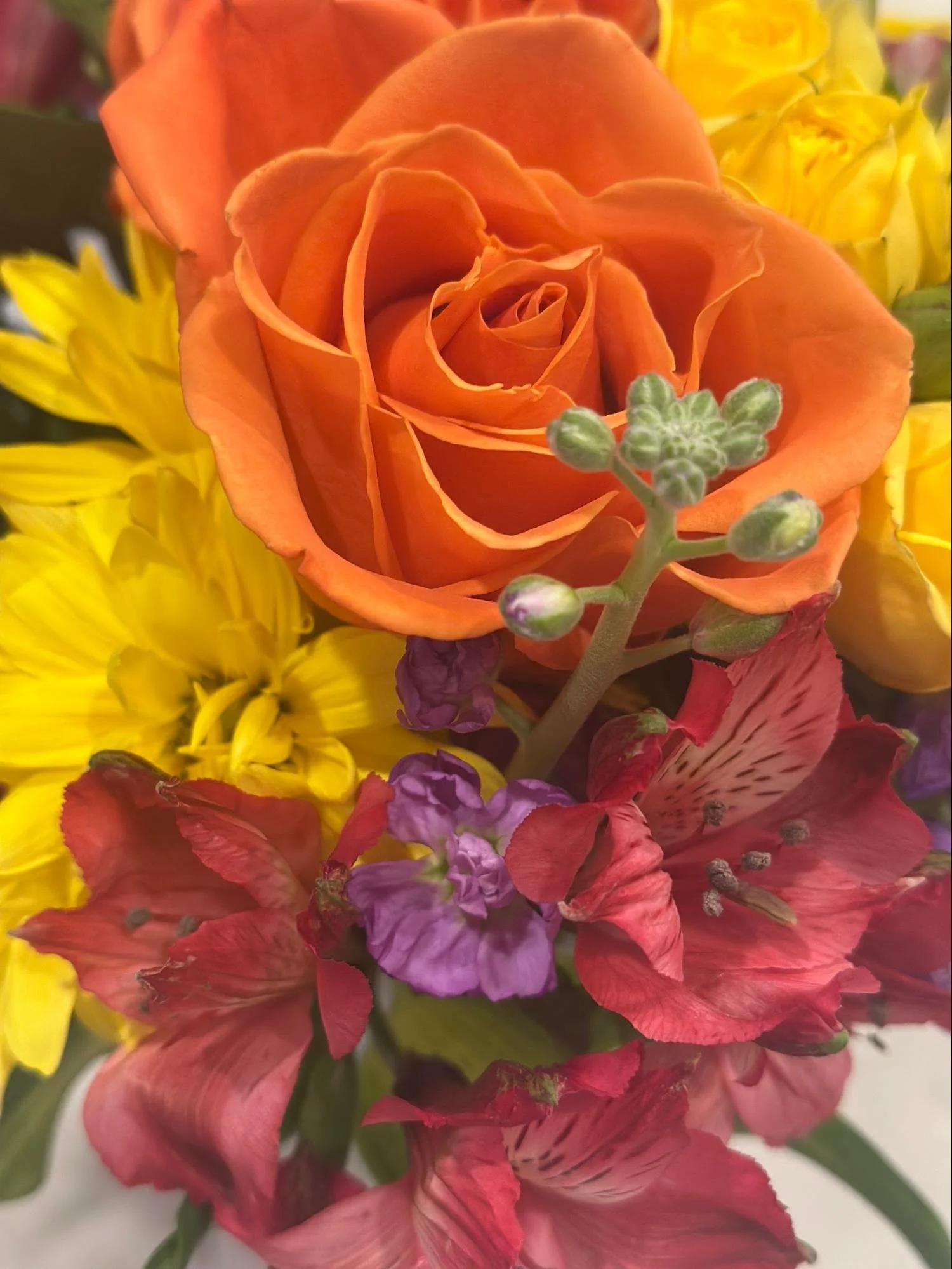 Close-up of a bouquet featuring an orange rose, yellow flowers, purple flowers, and red flowers with green foliage.
