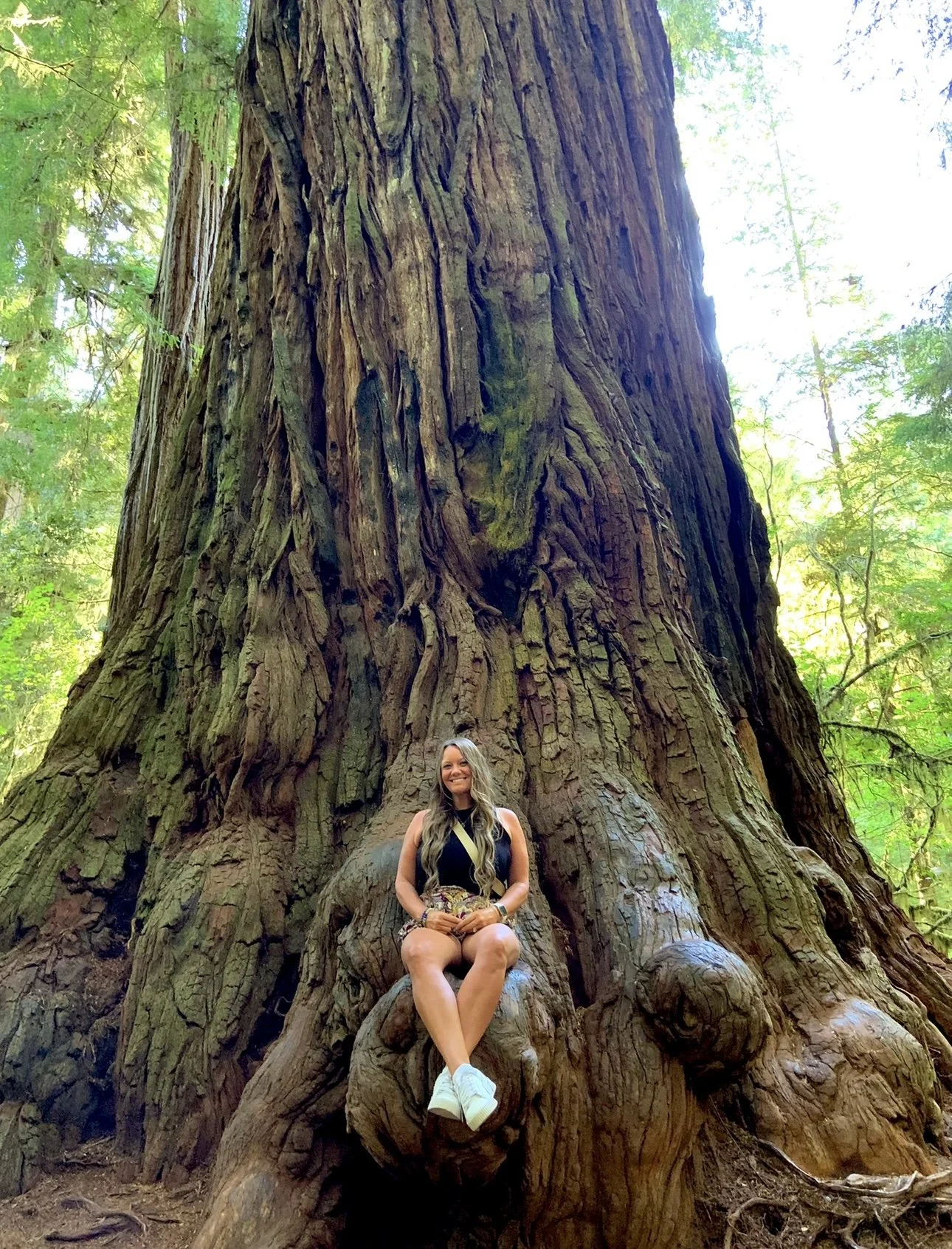 A woman sitting on the roots of a giant redwood tree in a forest, smiling at the camera with green foliage in the background.