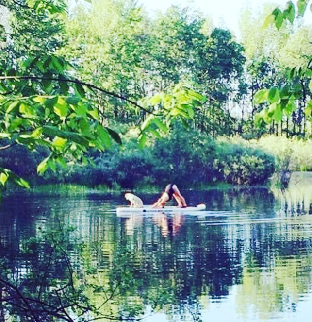 A person on a paddleboard doing a handstand on a calm river, surrounded by lush green trees and foliage.