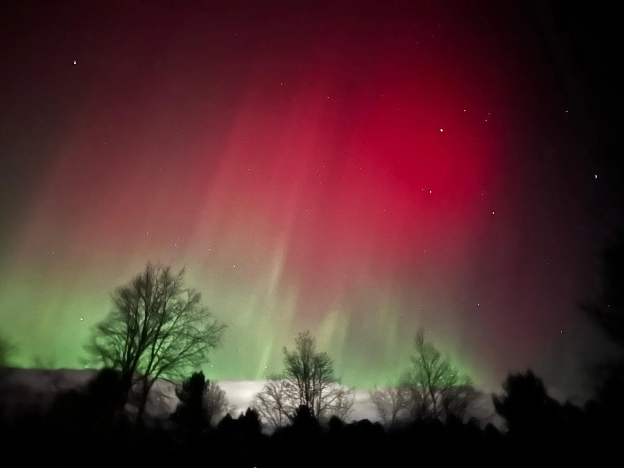 Night sky with stars, green and red aurora, and silhouettes of trees in the foreground.