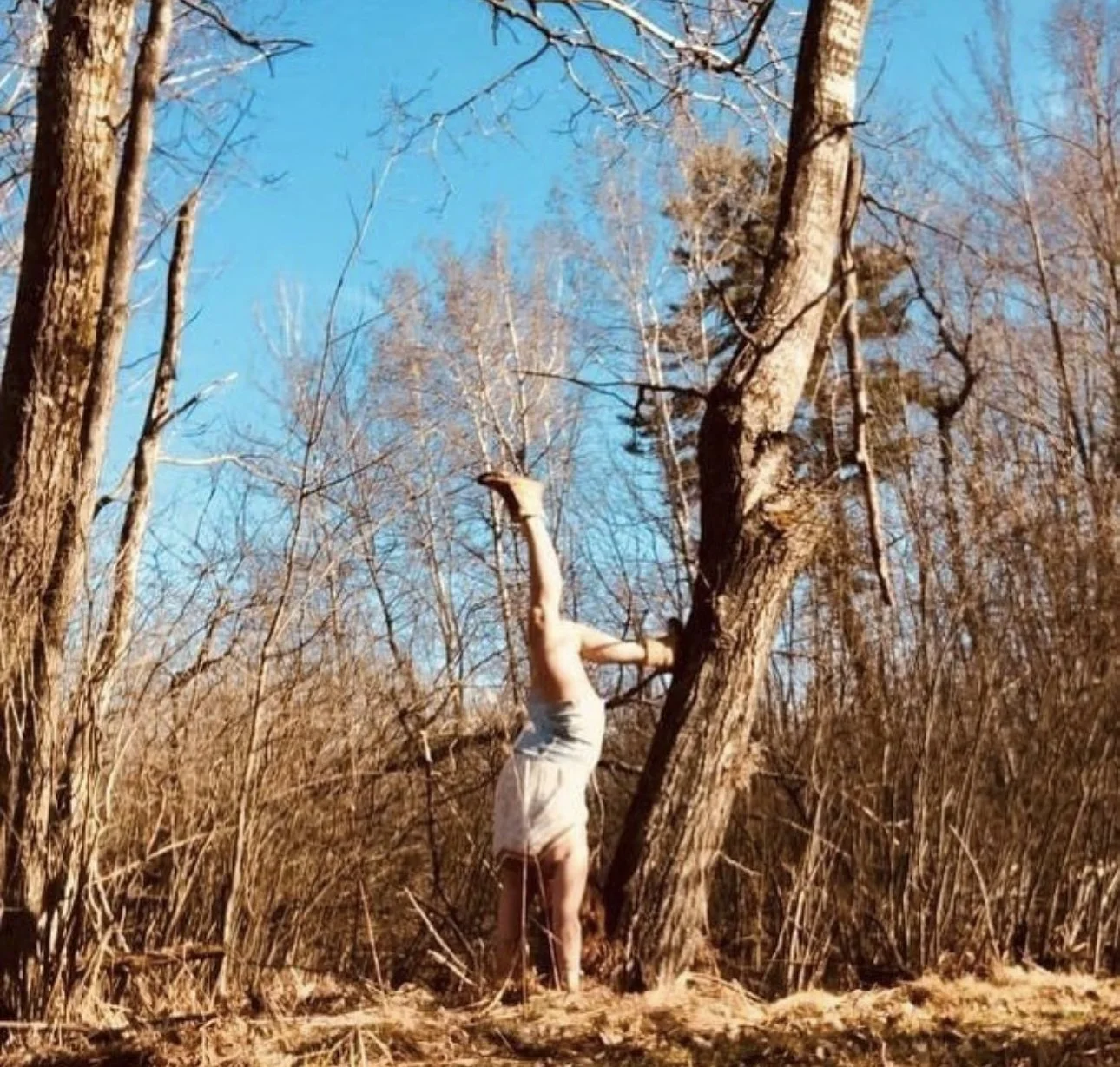 A person standing on their hands with legs up against a tree in a wooded area during daytime, with leafless trees and a bright blue sky.