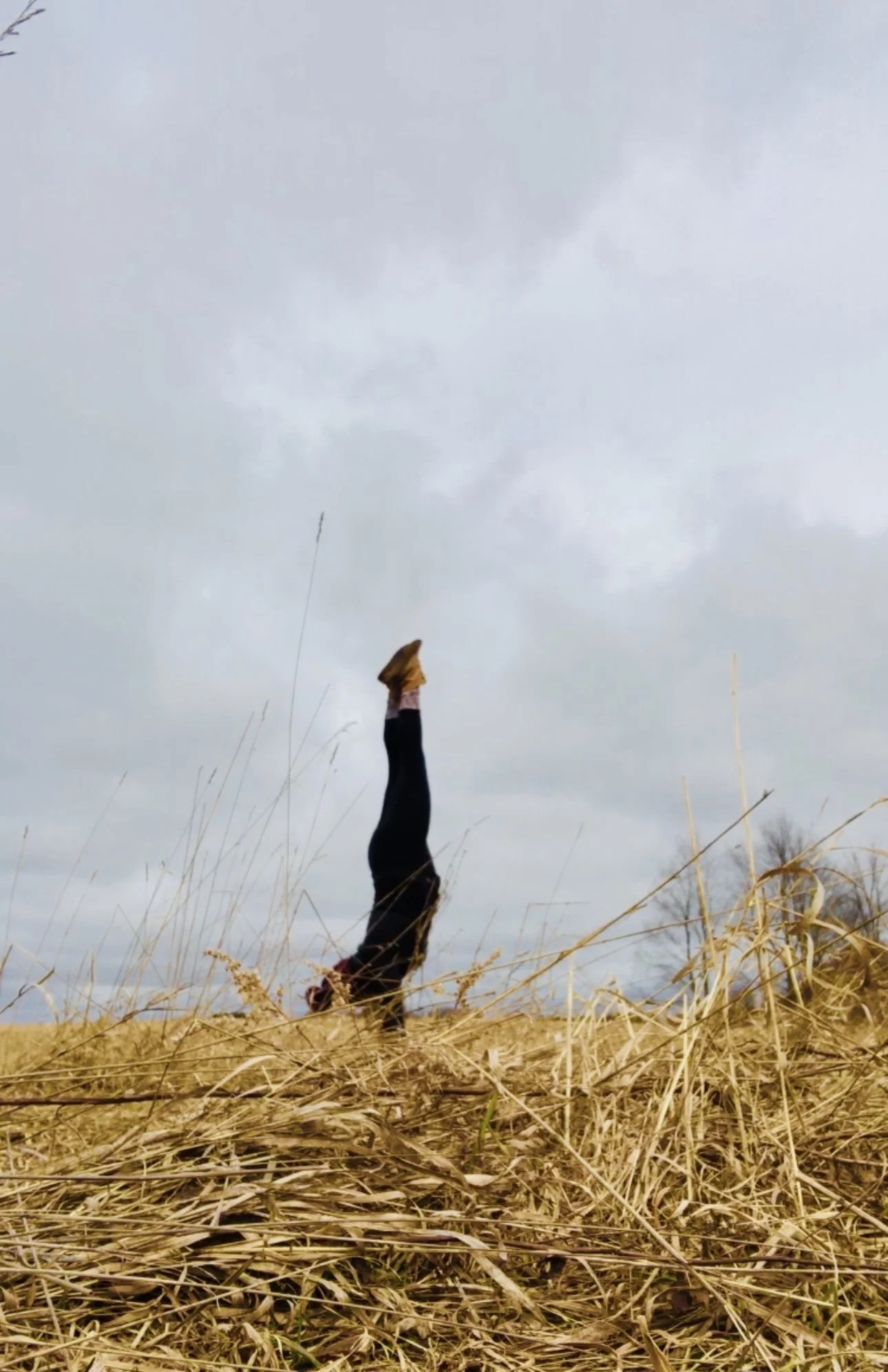 Person performing a handstand in a field of dry grass with a cloudy sky background.