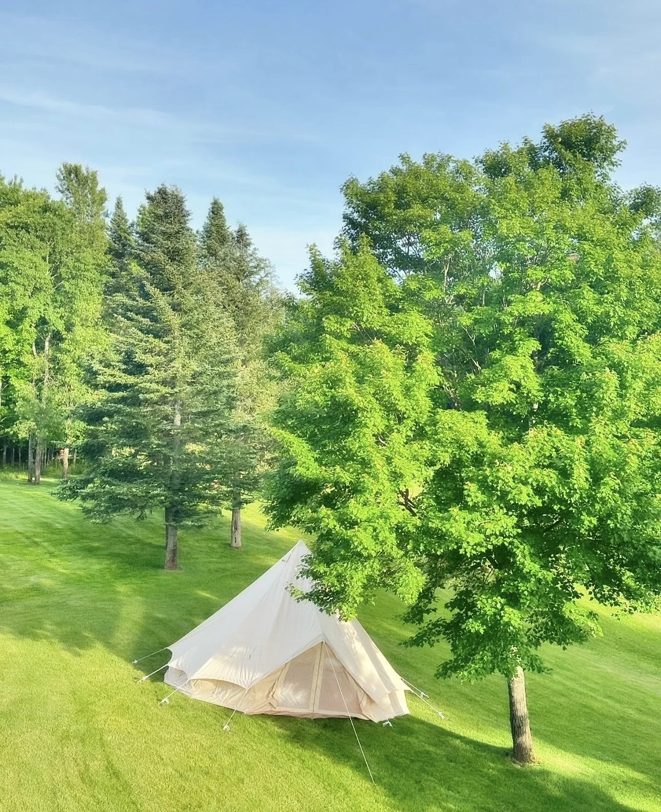 A cream-colored camping tent pitched on a lush green lawn surrounded by tall trees under a blue sky.