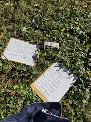 Learning Outside the Lines: Pumpkin Week