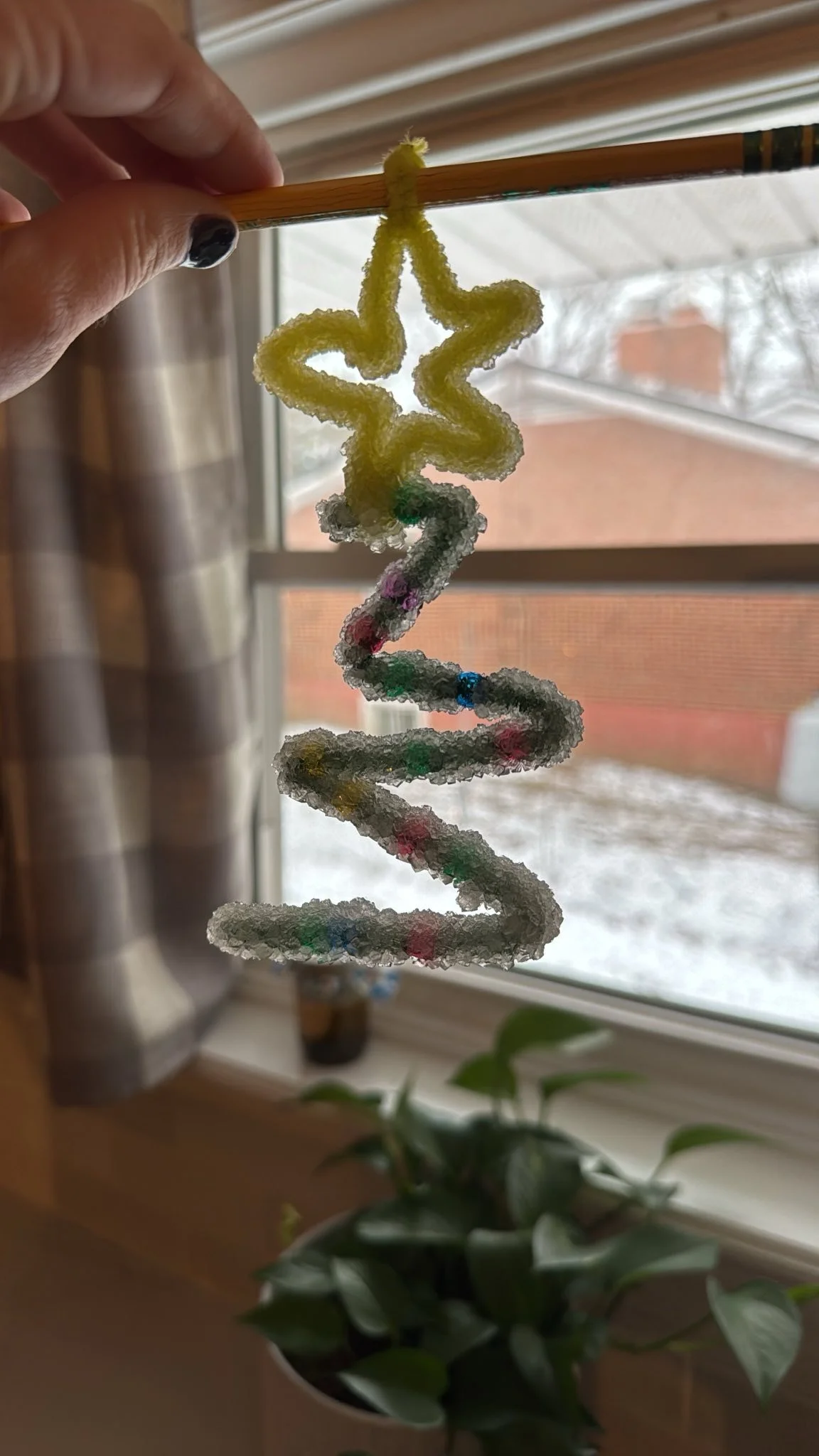 The Week Before Christmas