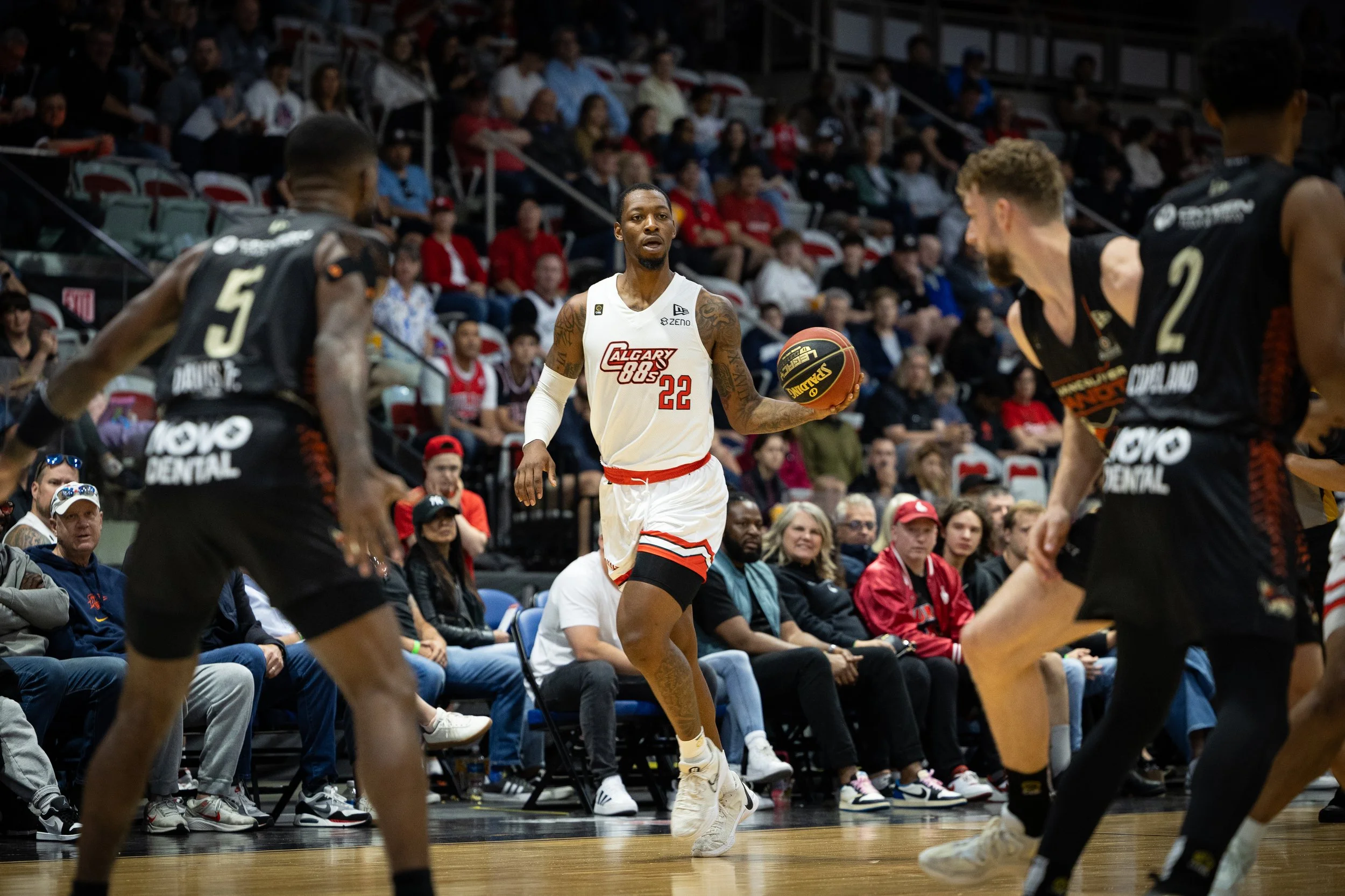 IMG_7995 (Addison).jpeg