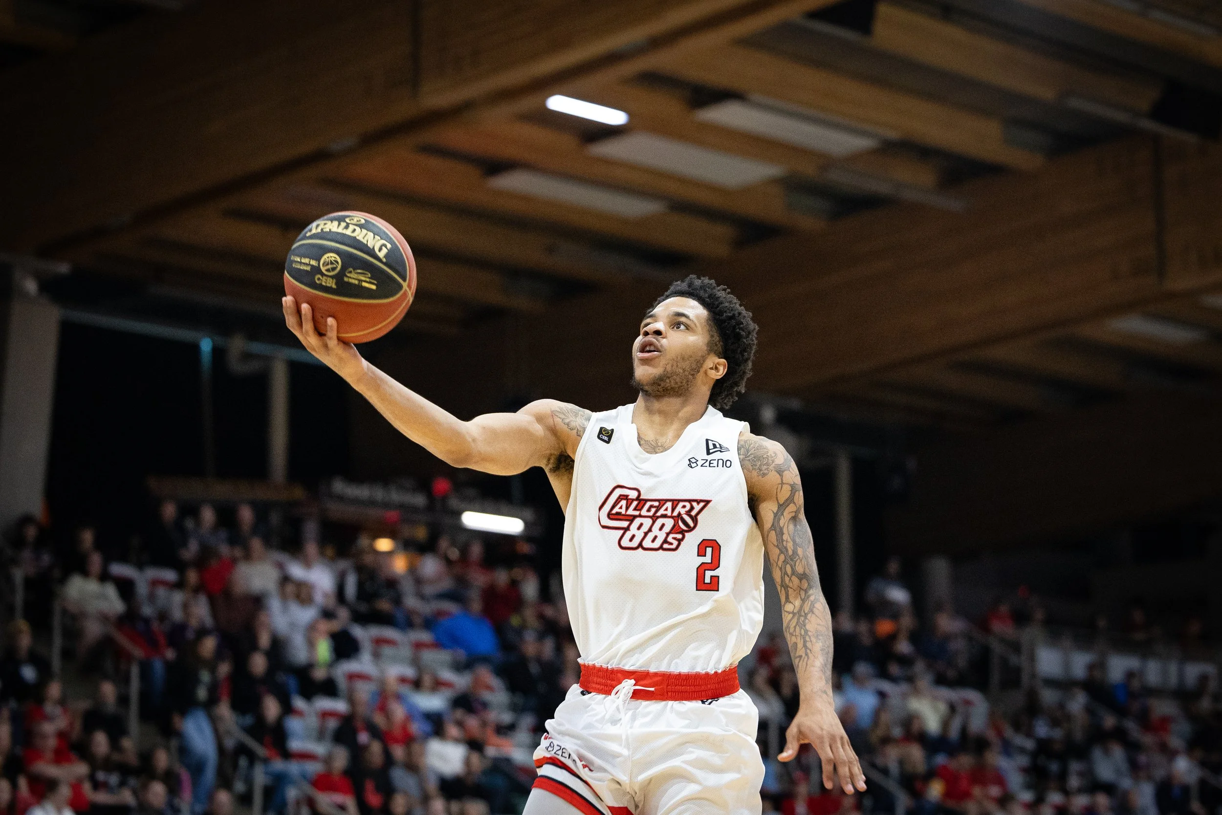 IMG_7978 (Addison).jpeg