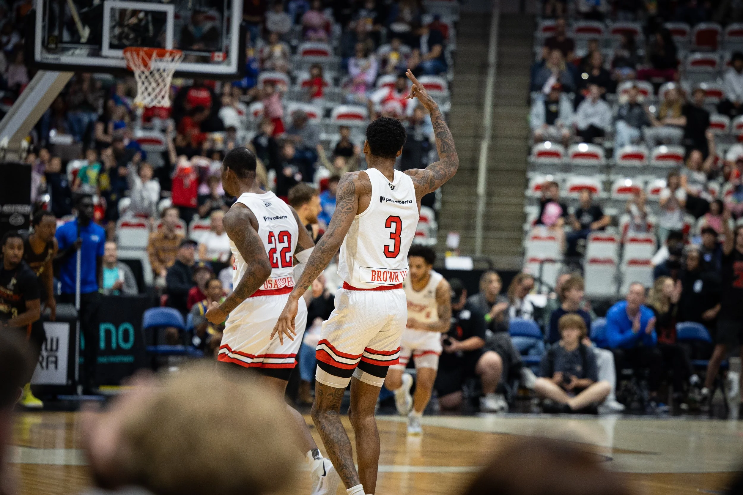 IMG_7759 (Addison).jpeg