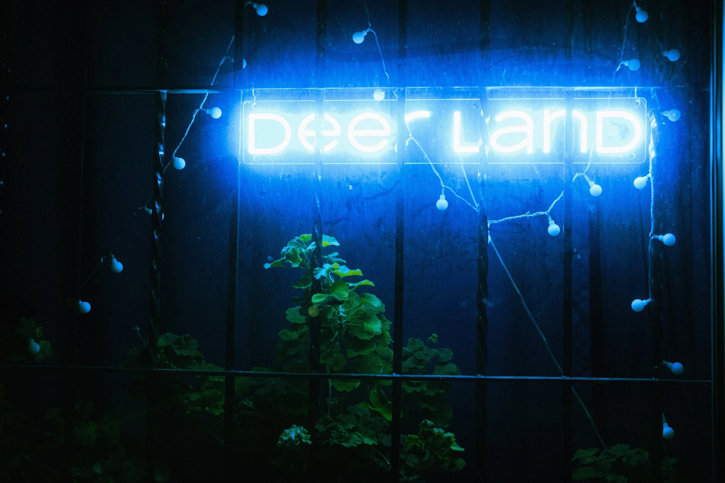DSCF4590.jpg