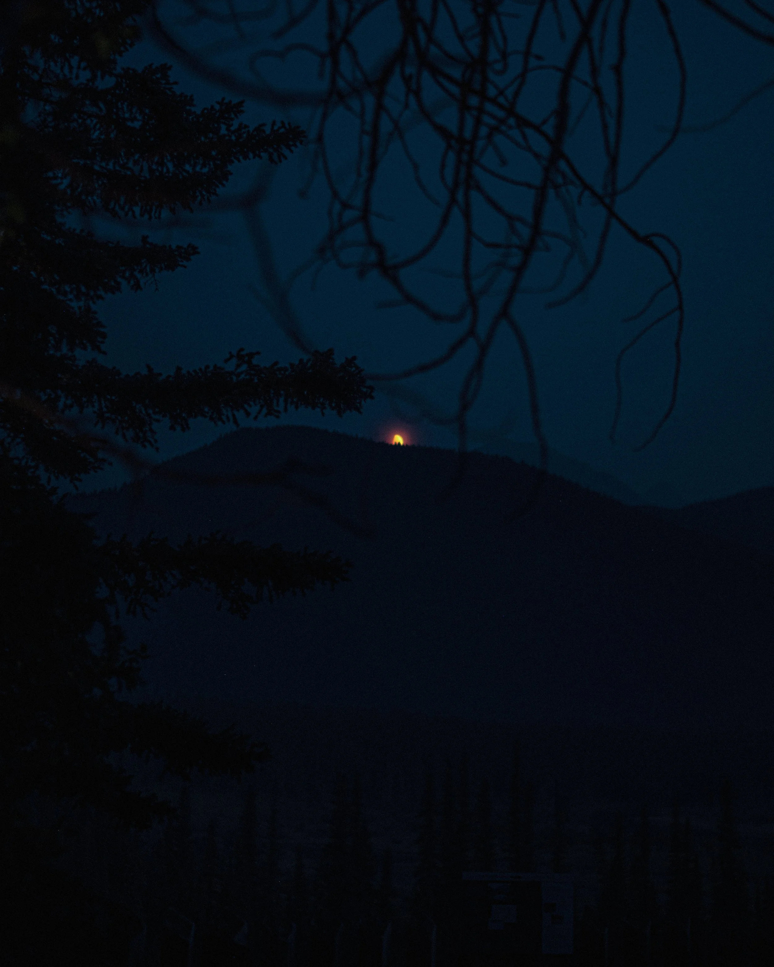 DSCF5740.jpg