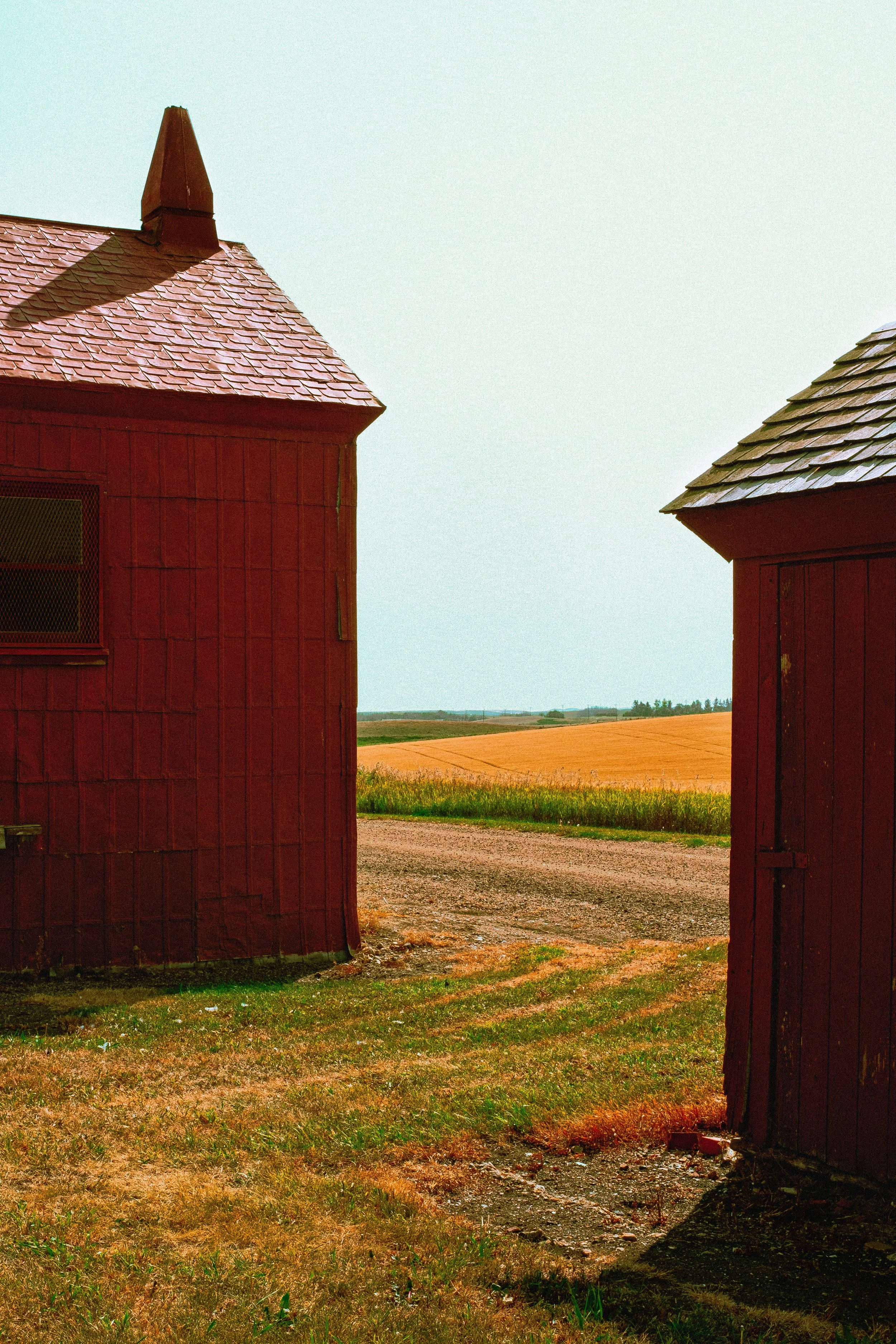 DSCF1275.jpg