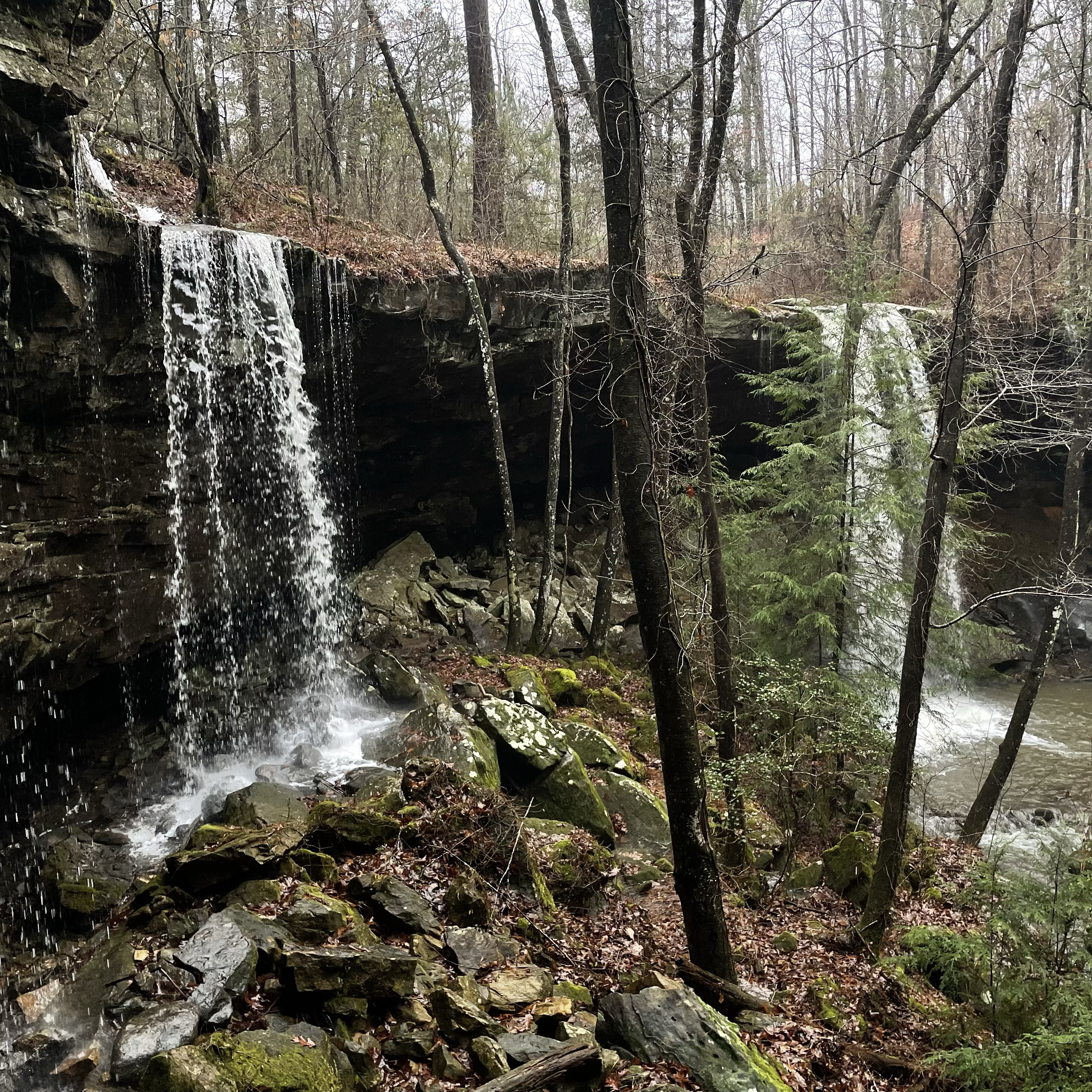 A waterfall in a forested area with rain falling, moss-covered rocks, and leafless and evergreen trees.