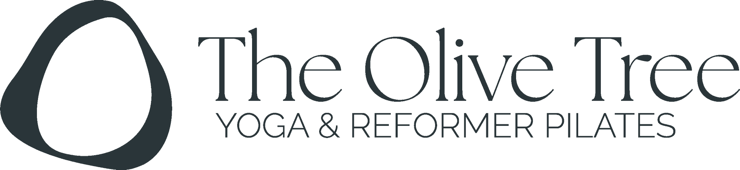The Olive Tree Studio 