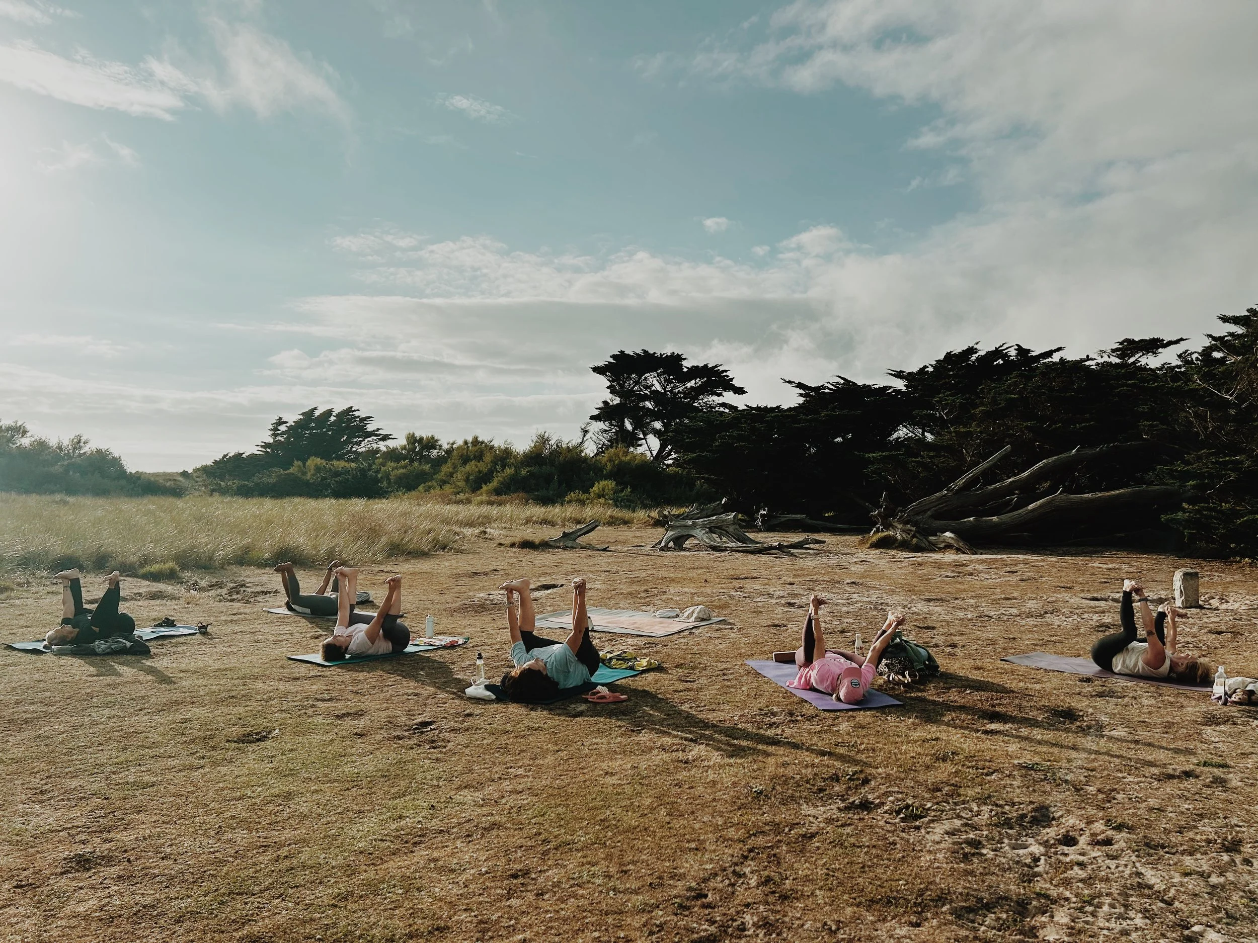 People participating in outdoor yoga class on a grassy field with trees in the background, practicing poses on mats with bottles of water nearby.