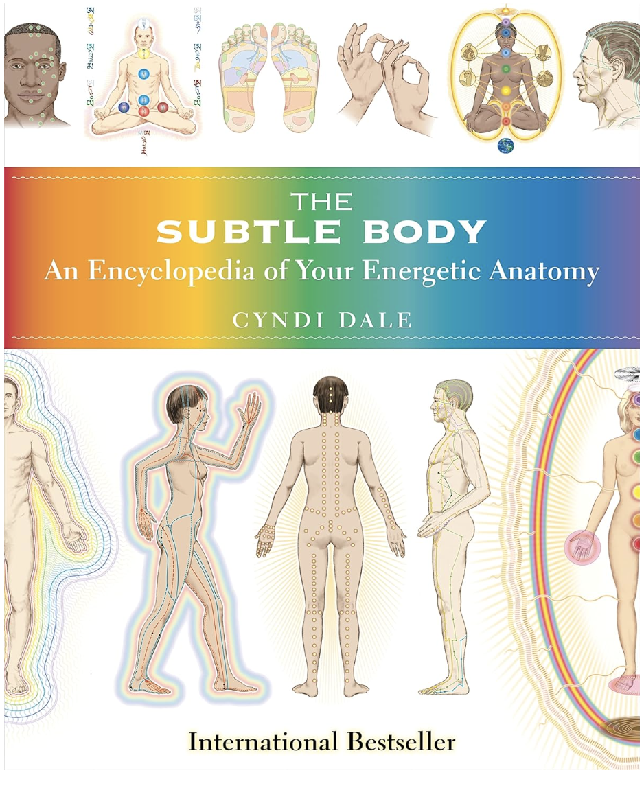 Book cover titled "The Subtle Body: An Encyclopedia of Your Energetic Anatomy" by Cyndi Dale, featuring illustrations of human energetic systems, chakras, and meridians in vibrant colors.