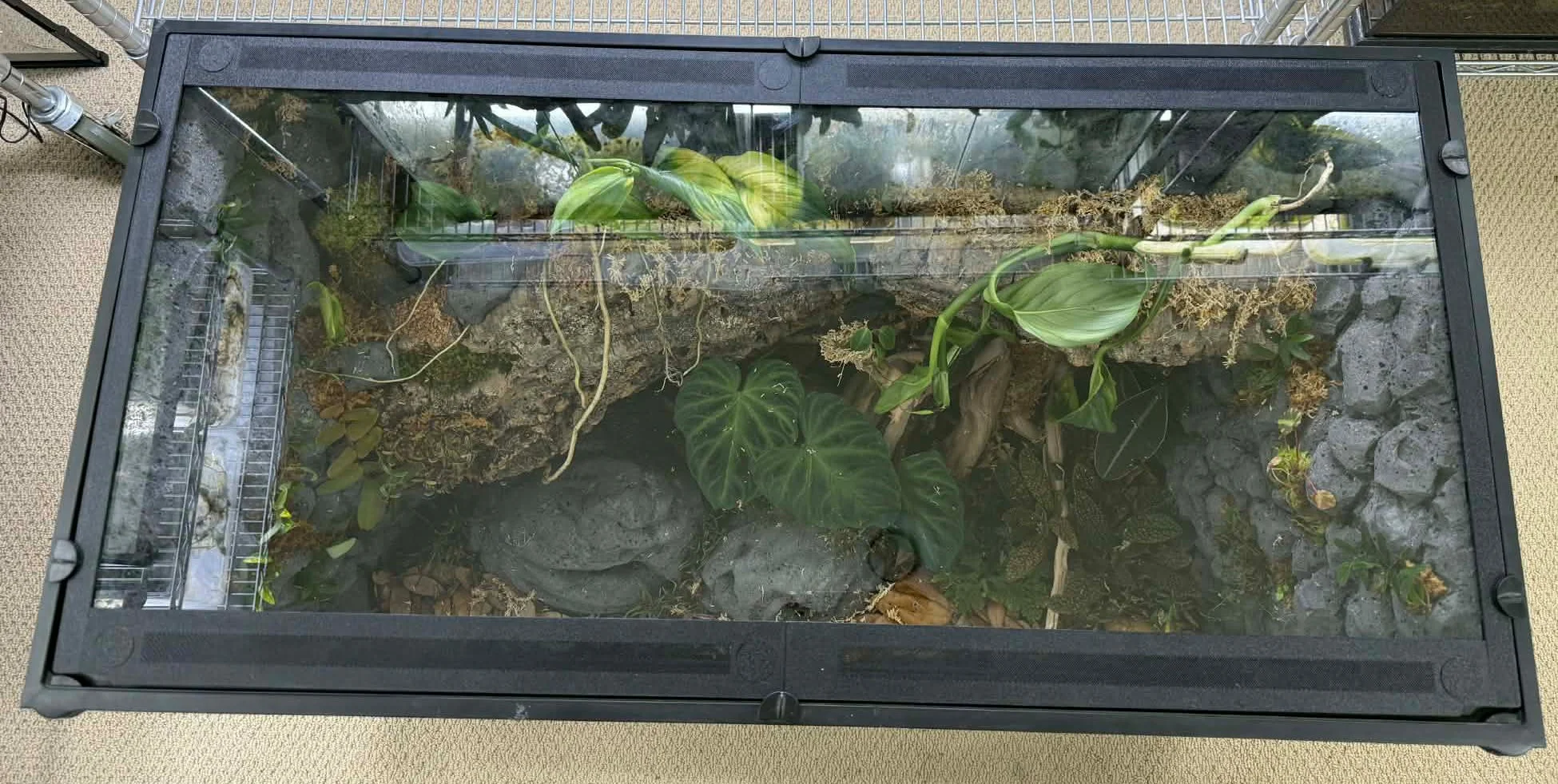 Tinkerframe ET36 Large lid - Replacement lid kit for 36x18 Exo Terra Large terrariums