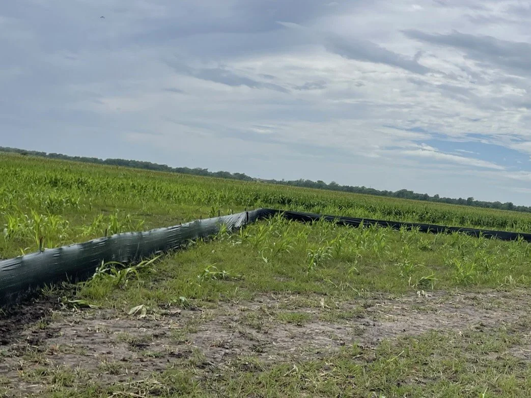 Silt Fence SWPPP BMP Erosion